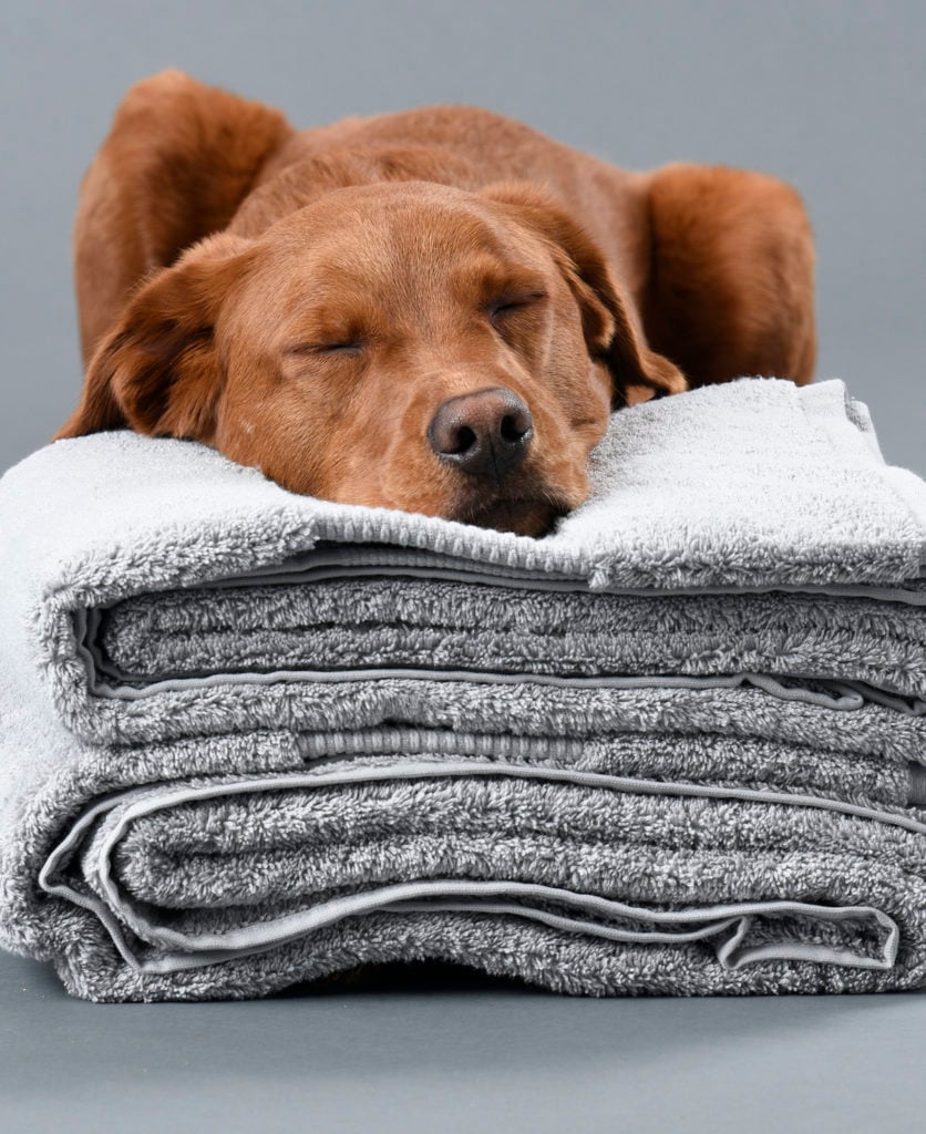 Luxurious organic cotton bath towels from Delilah Home