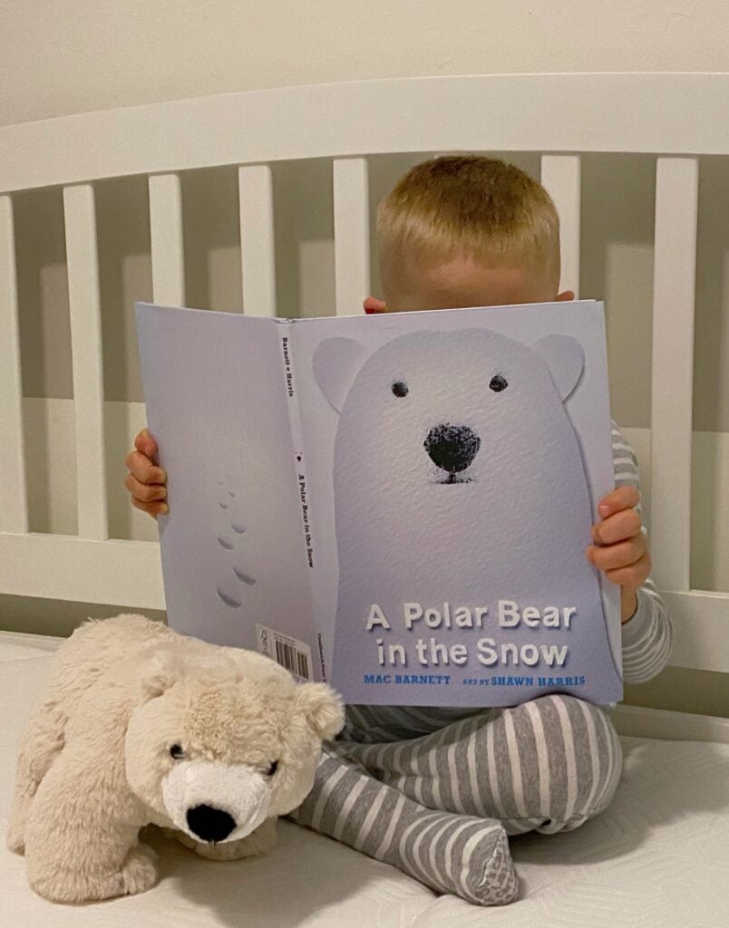 Child reading polar bear in the snow book Green Child Magazine