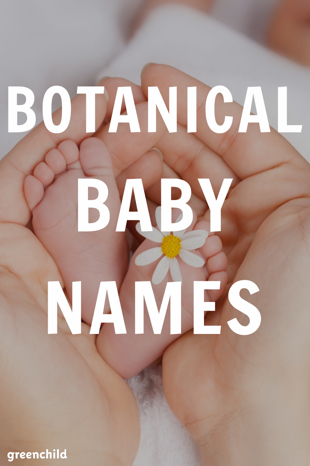 Botanical Baby Names For Girls or Boys — Green Child Magazine