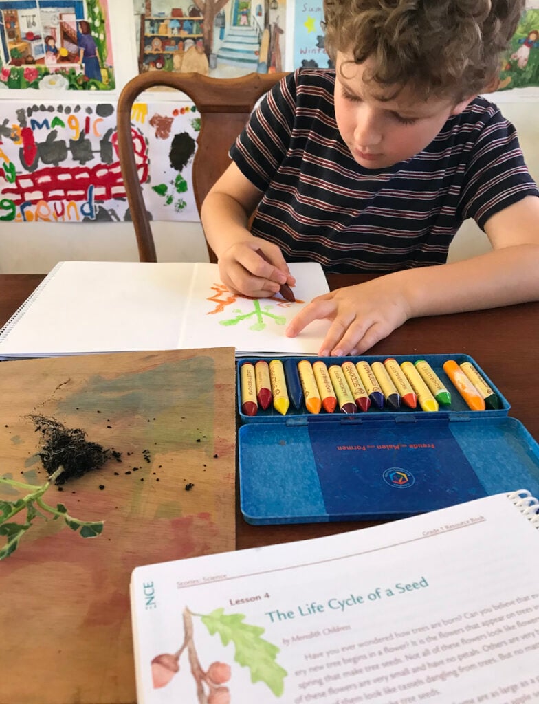 homeschool child using Oak Meadow curriculum