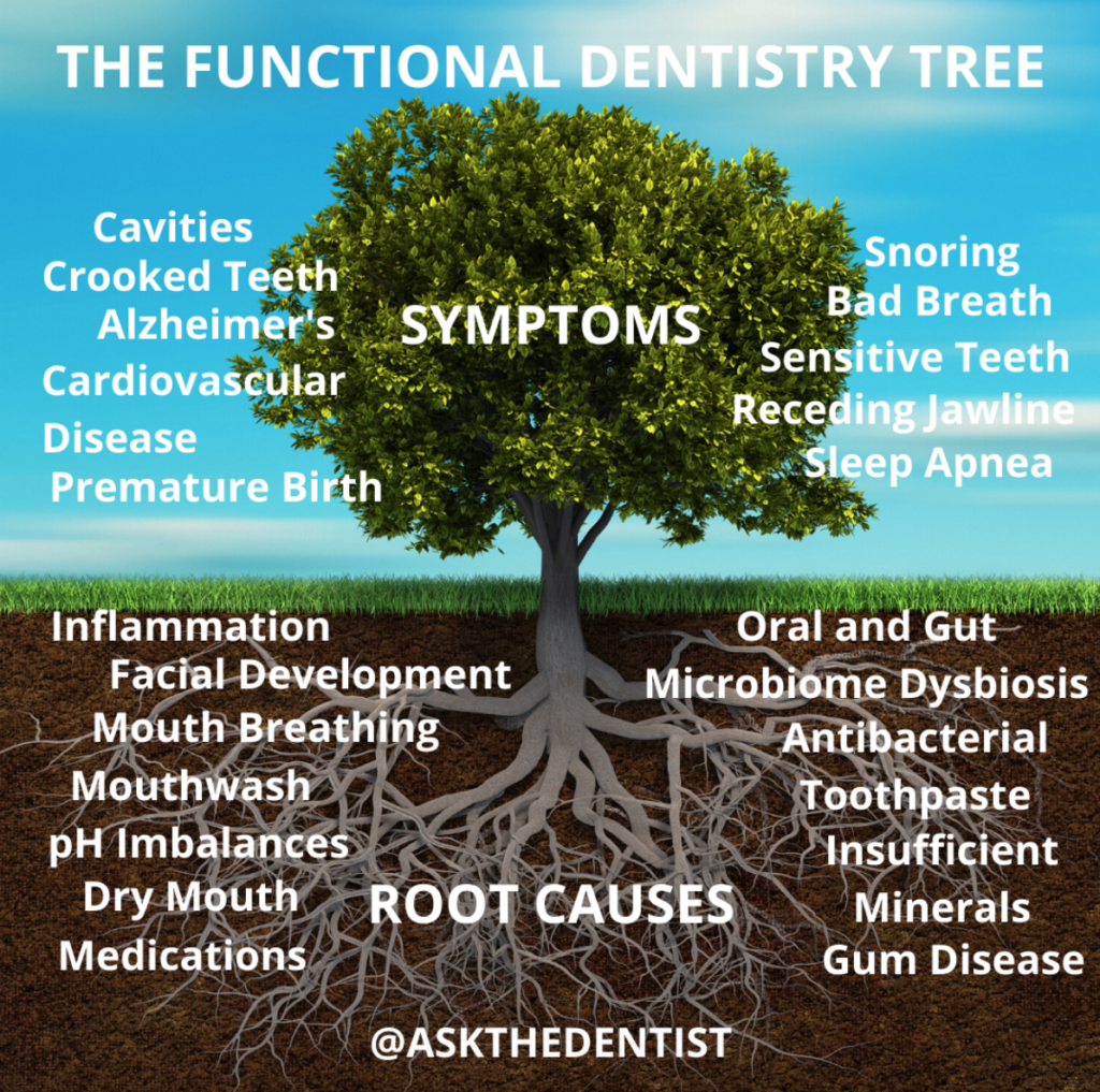 oral microbiome tree