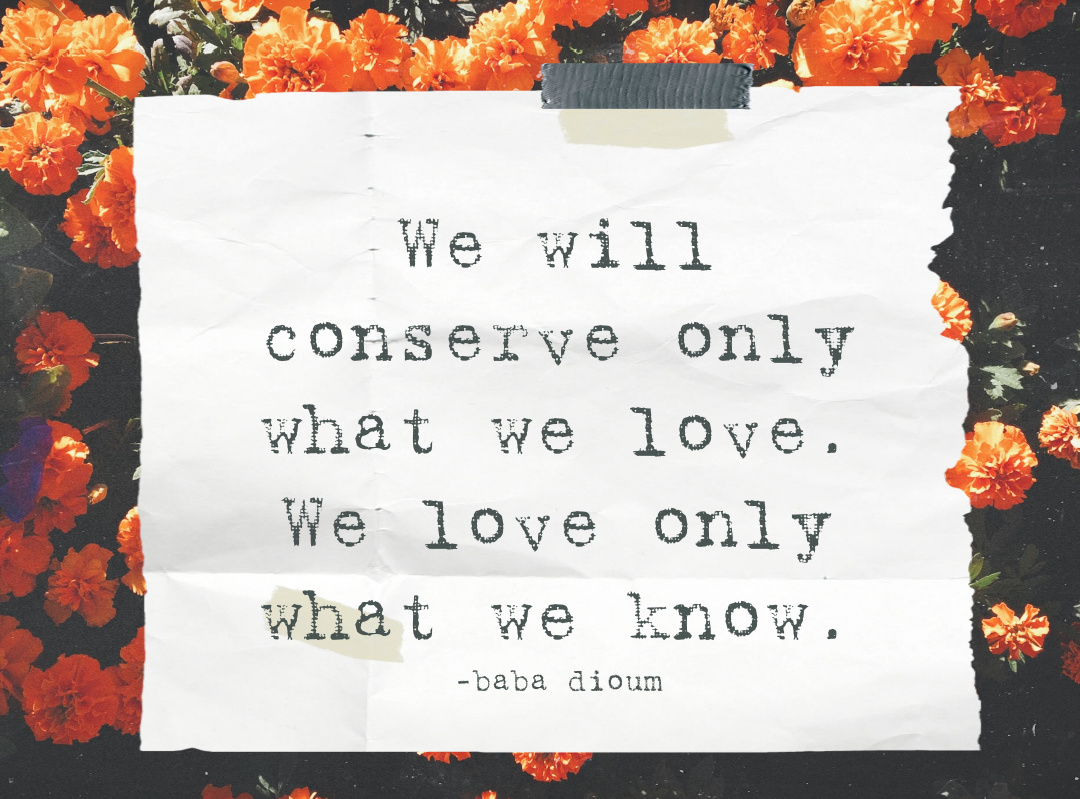 Inspiring and Fun Nature Quotes for Kids, image size:1080x799