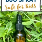 DIY bug spray