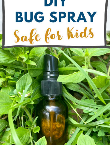 DIY bug spray