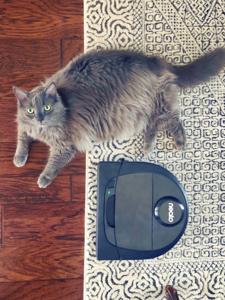 healthy home gifts robot vac