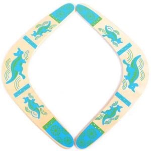 eco friendly boomerang