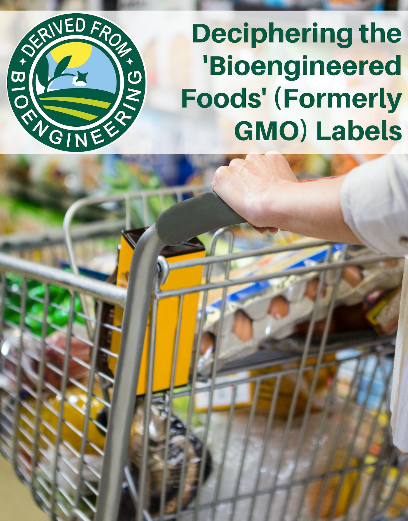 List Of Bioengineered Foods - 07hk3bd