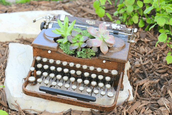 Repurposed Planter Ideas