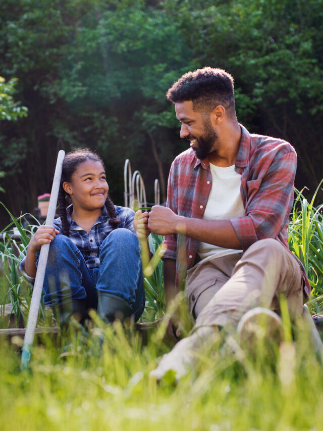 Food Forests: How To Plan a Family-Friendly Forest Garden Story