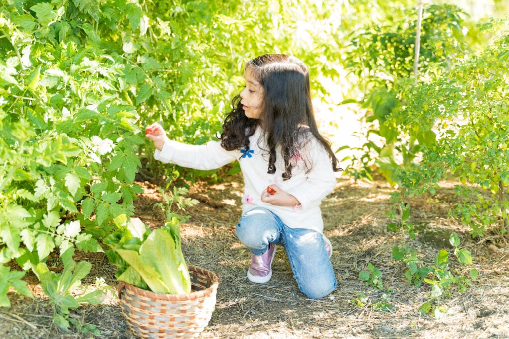 child in food forest backyard