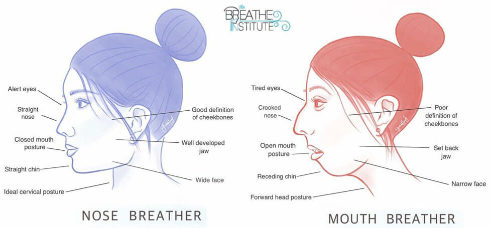 nose breathing vs mouth breathing diagram