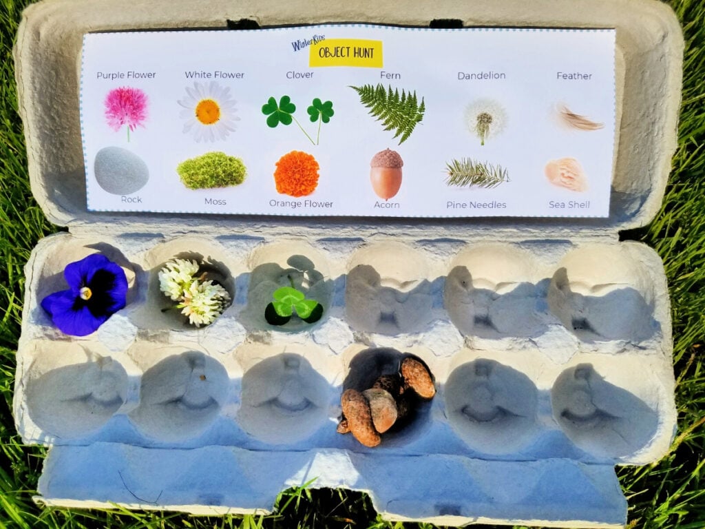 collecting nature items in egg carton