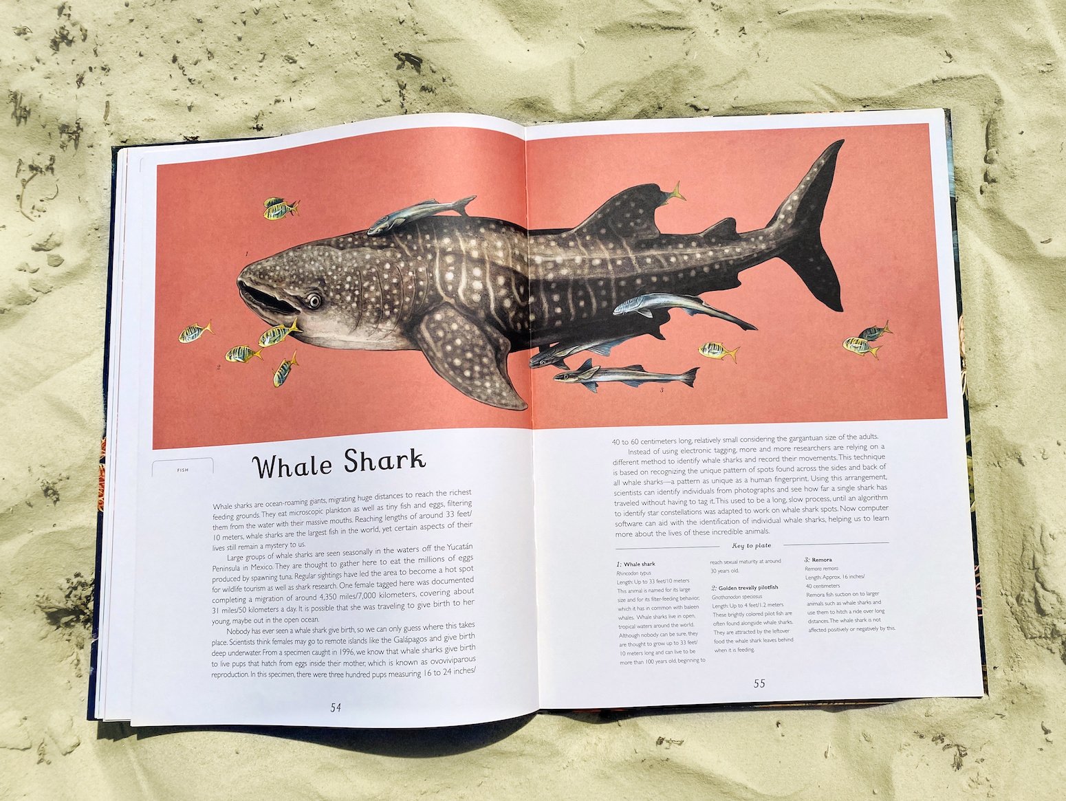 Oceanarium Book Review: Kids' Guide to Science & Conservation