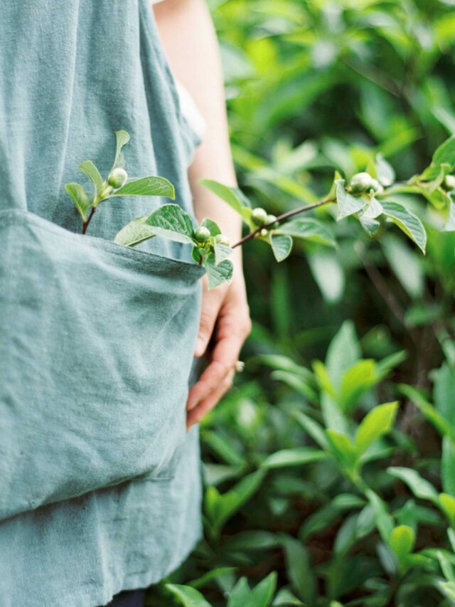 Creative Kid-Friendly Garden Projects to Try this Season Story (Copy)