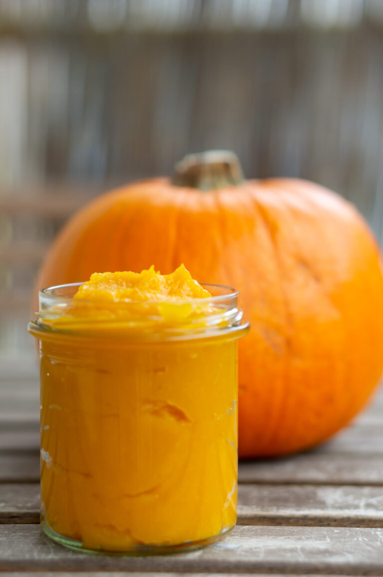 Pumpkin Pie Puree – Stage 1 & Stage 2 Baby Food Recipe