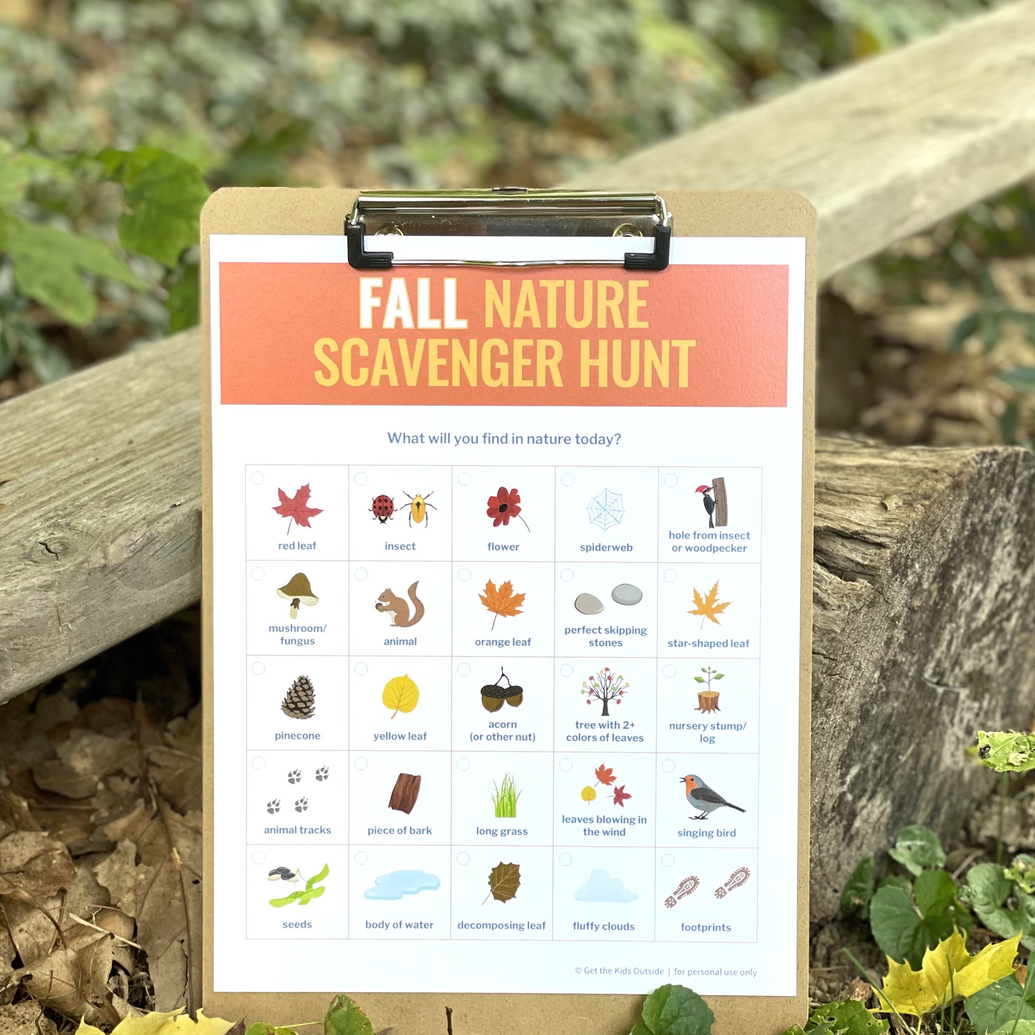 fall nature scavenger hunt
