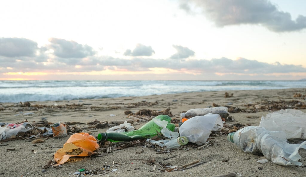 plastic pollution experiment to turn into food