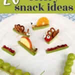 celery snack recipes pin