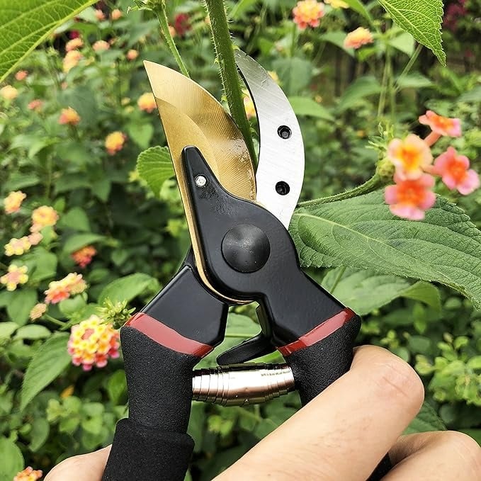 garden shear gifts