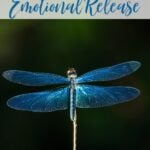 emotional release meditation for kids