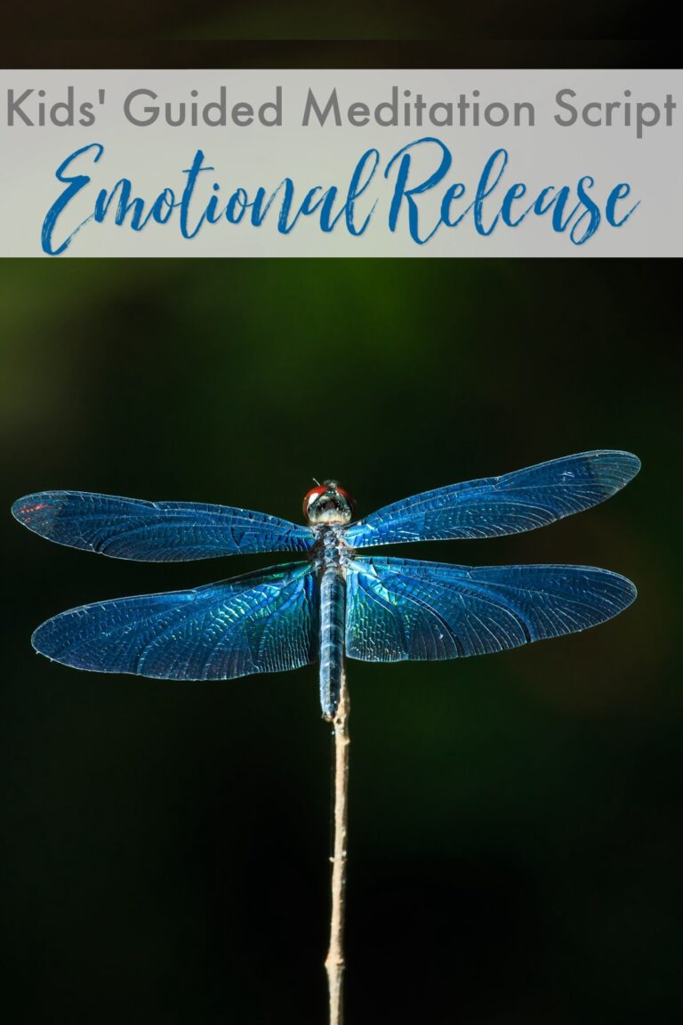 Guided Meditation for Emotional Release: The Beautiful Dragonfly