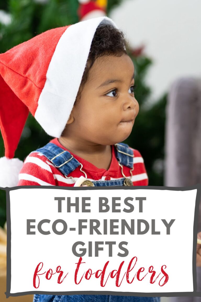Eco-Friendly Gifts for Toddlers