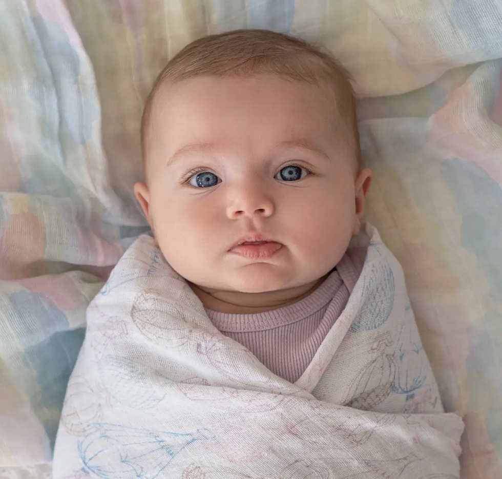 organic swaddle blankets