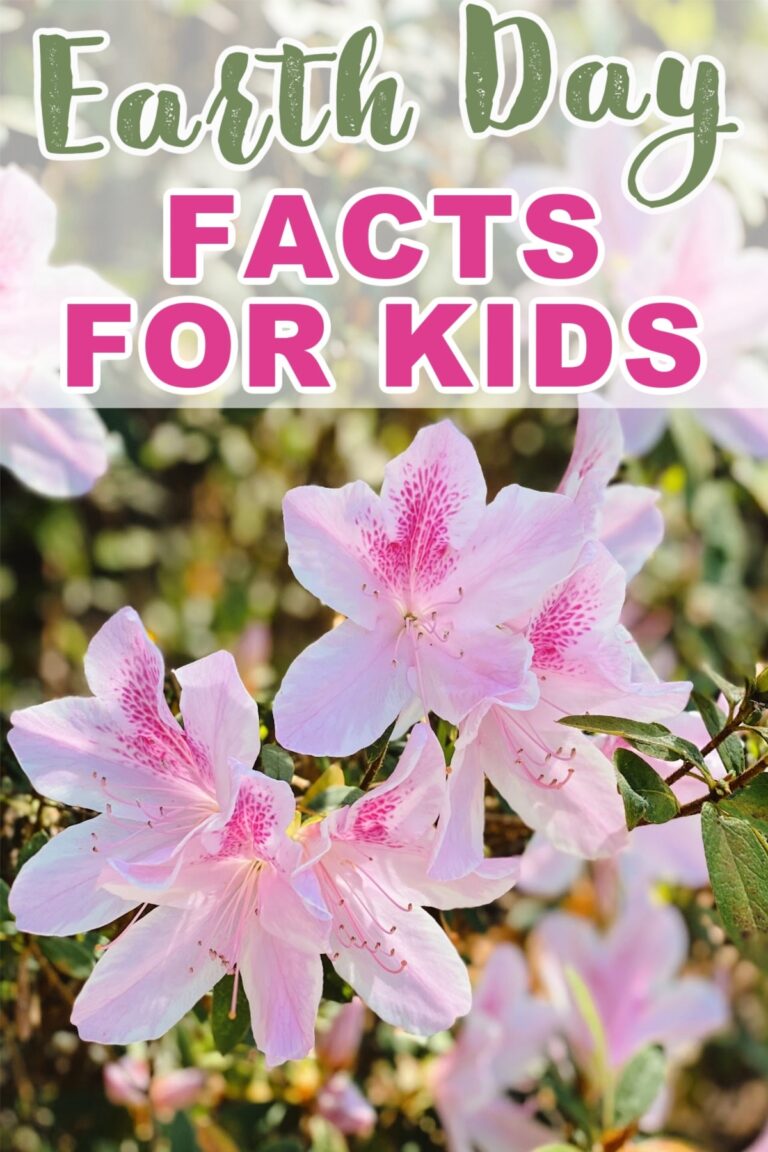 Earth Day Facts for Kids