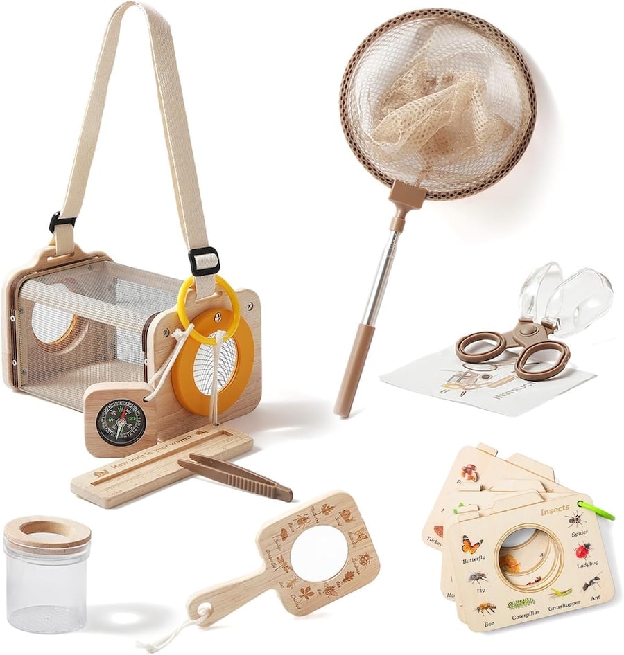 eco friendly bug study fun for kids