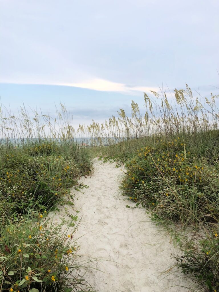 10 Ways to Keep the Environment Clean