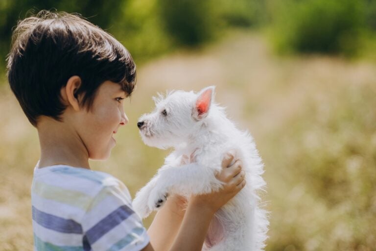 Dog and Cat Etiquette for Young Children