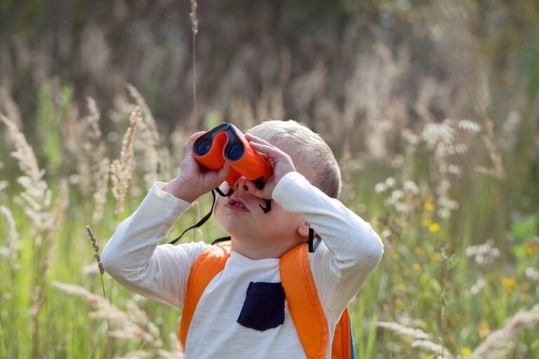 Where Wonder Takes Wing: Inquiry-Based Learning Through Bird Watching