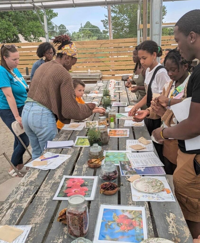 magnolia nature club