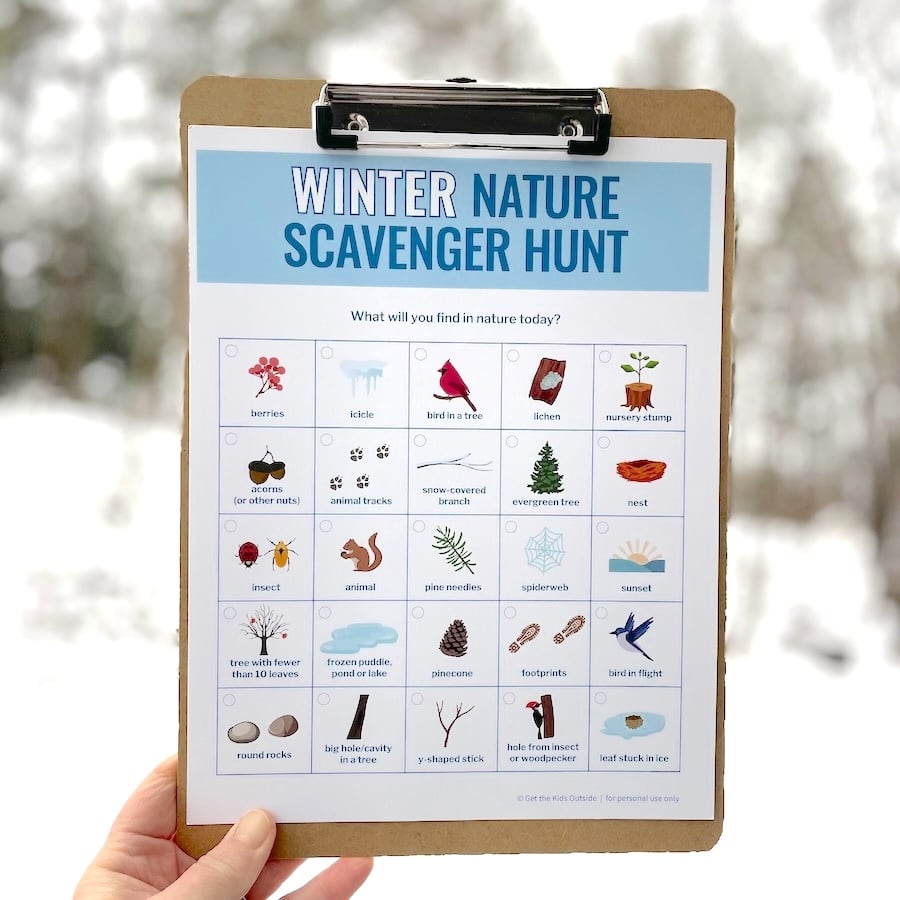 winter nature scavenger