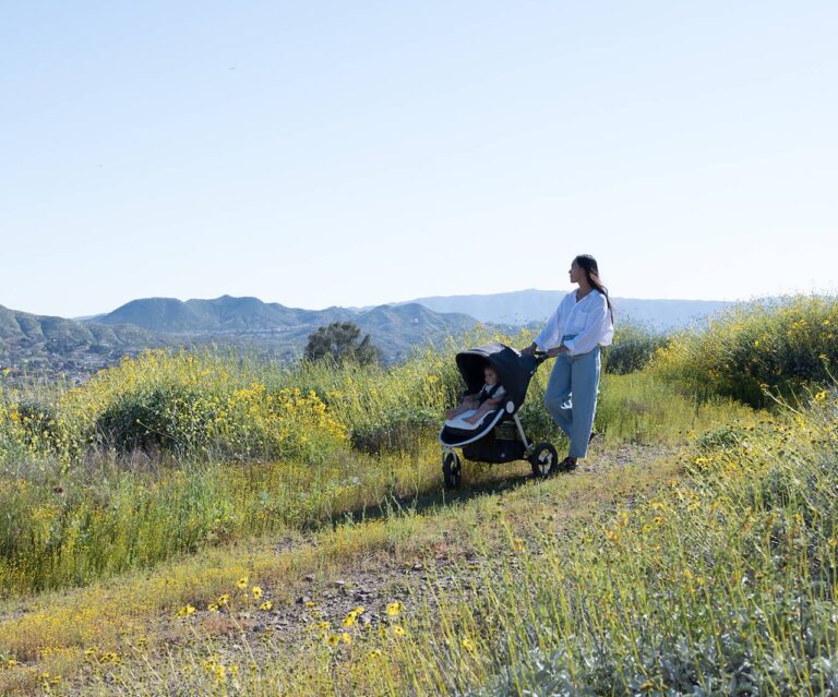 The Best Non Toxic and Eco Friendly Strollers