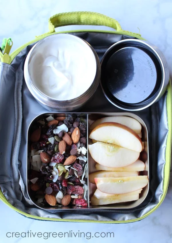 apple and yogurt lunch for kids